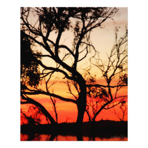 Living Art Sunset Silhouette Photo Print