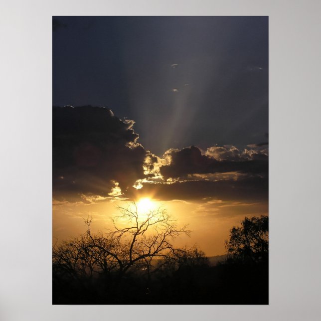 Living Art Views Poster (Front)