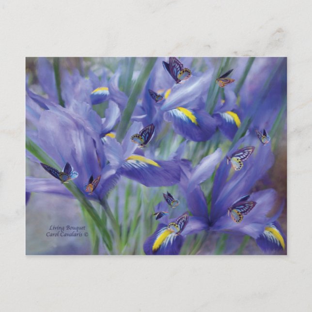 Living Bouquet Art Postcard (Front)