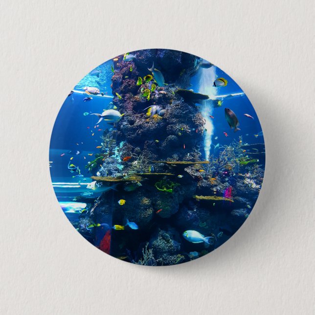 Living Coral Reef with Fish 6 Cm Round Badge (Front)