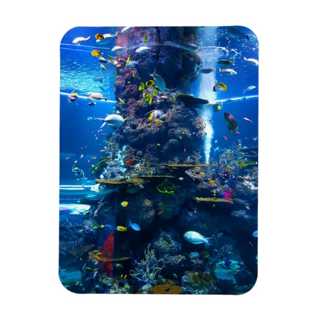 Living Coral Reef with Fish Magnet (Vertical)