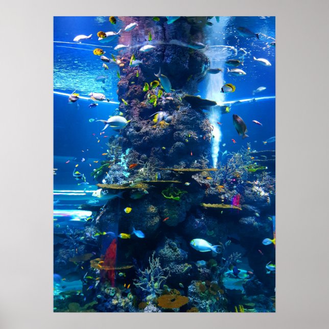 Living Coral Reef with Fish Poster (Front)