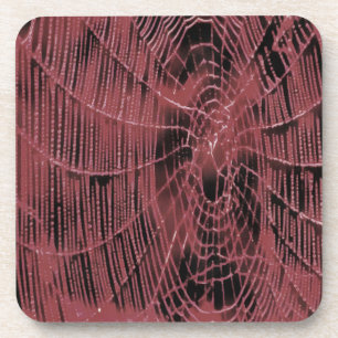 Lıving Coral Web Coaster