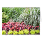 Living Flowers Blank Card