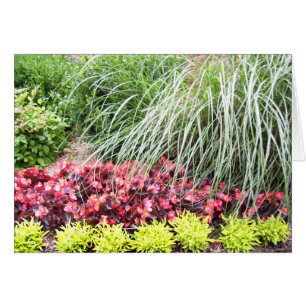 Living Flowers Blank Card