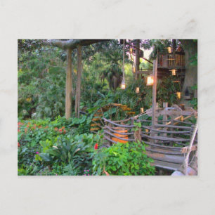Living in the Trees Postcard