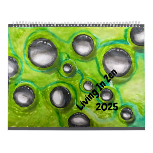 Living In Zen 2025 Calendar