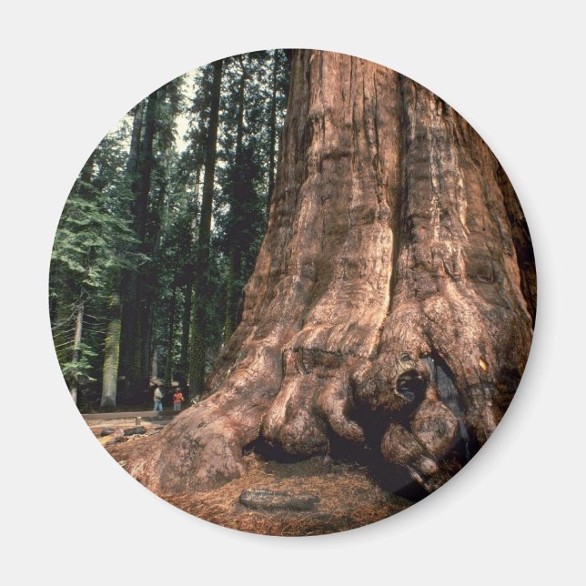 Living Mountain Magnet (Front)