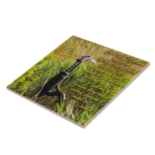 Living Water John 4 Inspirational Tile