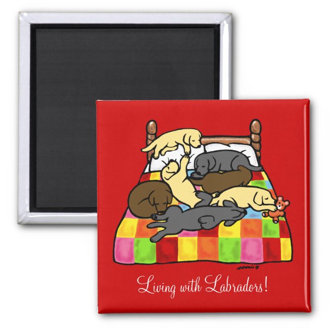 Living with Labradors Cartoon Magnet (Front)