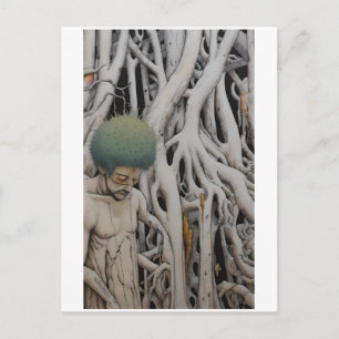 Living Woods Postcard
