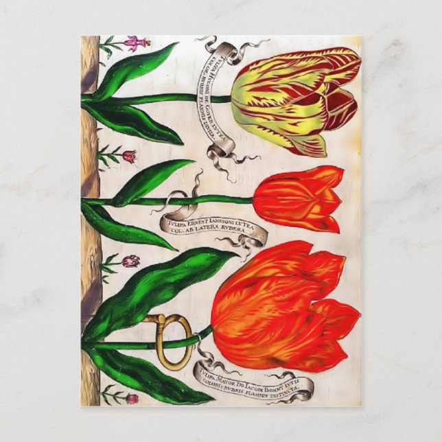 Livres De Fleurs Postcard (Front)