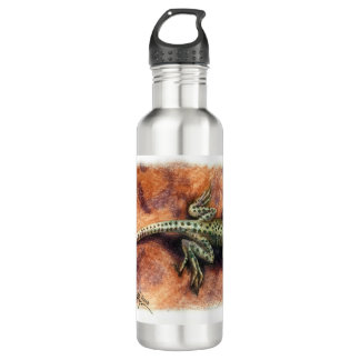 Lizard 710 Ml Water Bottle
