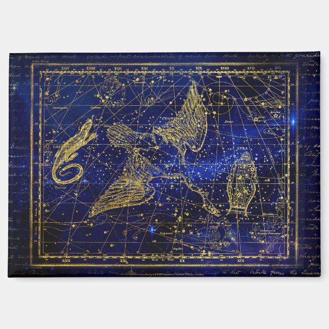 lizard and swan constellation magnet (Front)