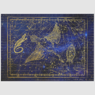 lizard and swan constellation tissue paper