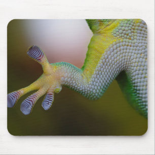 Lizard Arm Mouse Pad