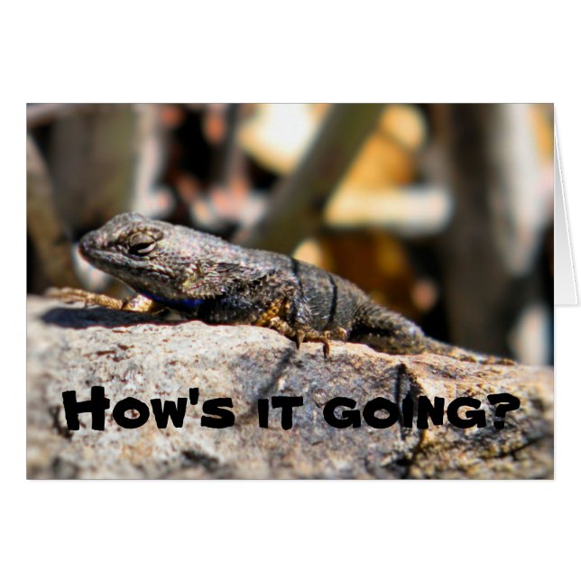 Lizard asking "how's it going" (Front Horizontal)