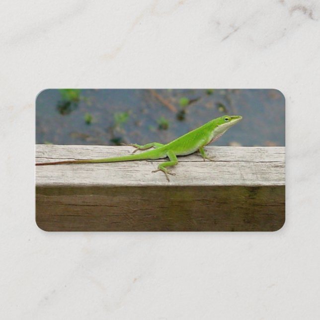 Lizard Business Cards (Front)