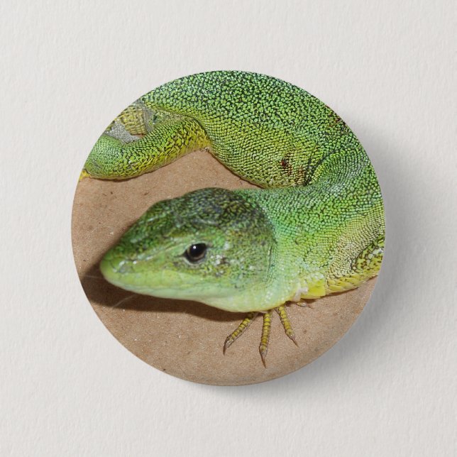 Lizard Button (Front)