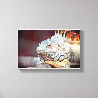Lizard Canvas Print