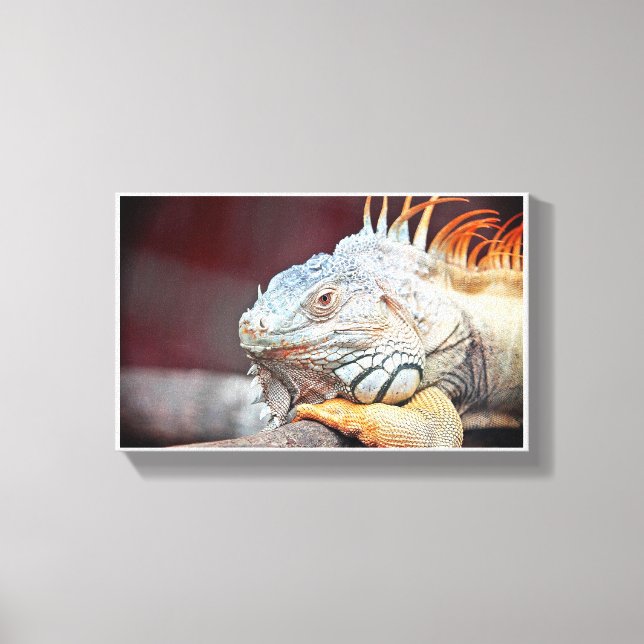 Lizard Canvas Print (Front)