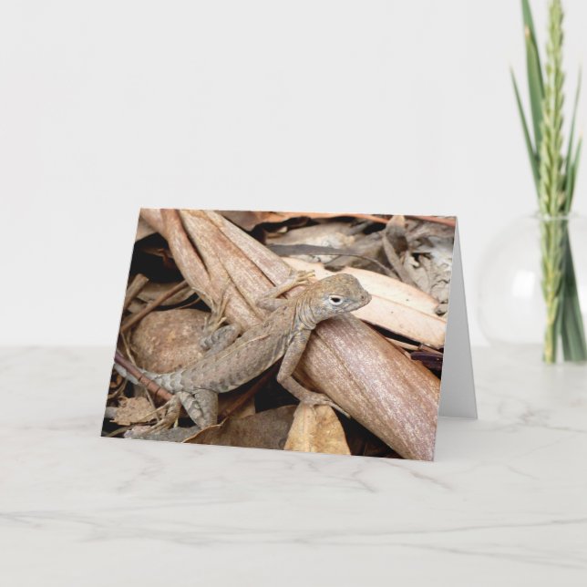 Lizard in the Dry Leaves Greeting Card (Front)