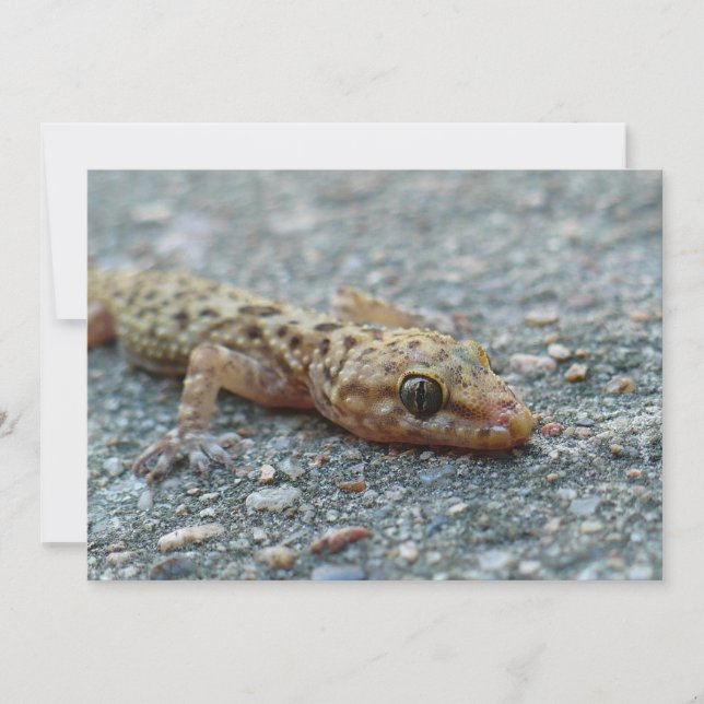 Lizard Invitation (Front)