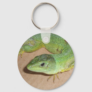 Lizard Keychain