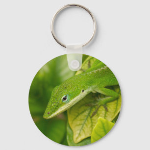 Lizard Keychain 01