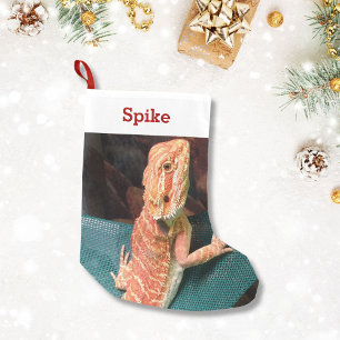 Lizard Lover Pet Photo and Name Personalised Small Christmas Stocking