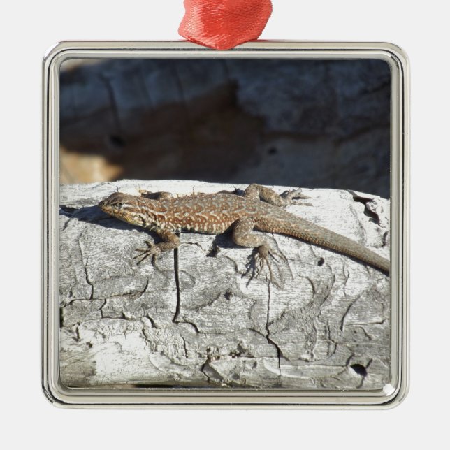 Lizard Metal Tree Decoration (Front)