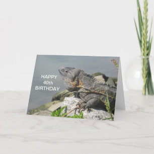 Lizard On A Rock Happy Birthday Card