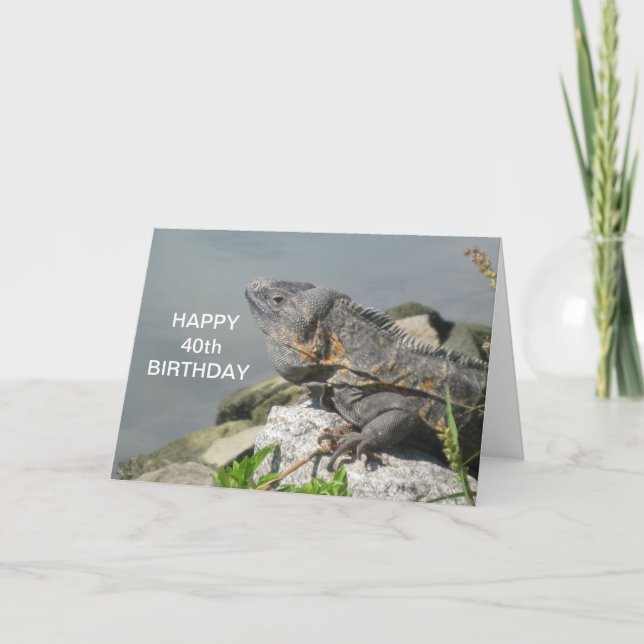 Lizard On A Rock Happy Birthday Card (Front)