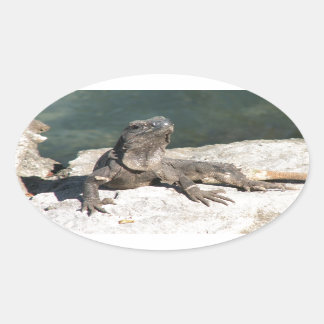 Lizard Oval Sticker