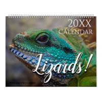 Lizard Photo Nature 2027 Wall