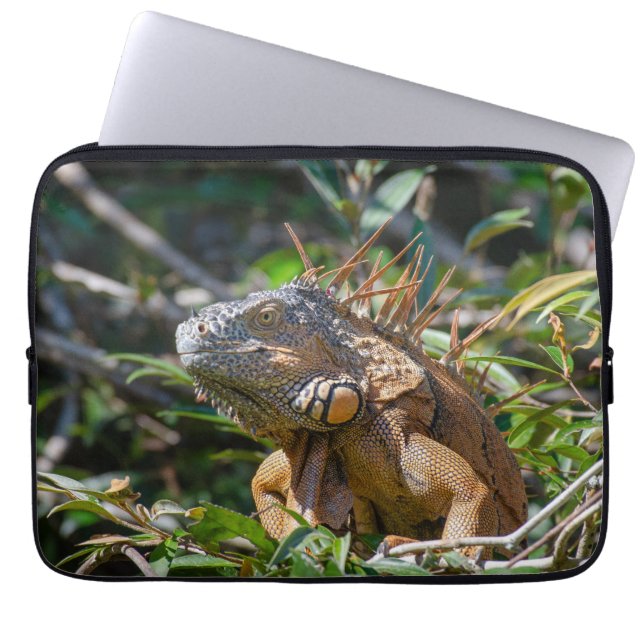 Lizard Photography, Orange Iguana Laptop Sleeve (Front)