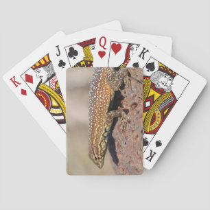 Lizard Playing Cards