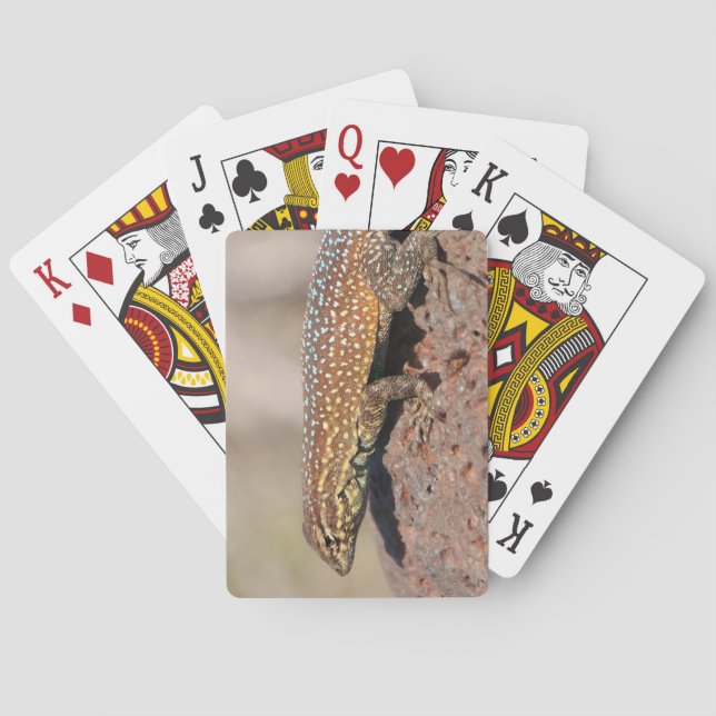 Lizard Playing Cards (Back)