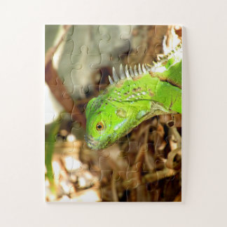 lizard puzzle