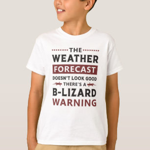 Lizard Reptile Gecko Reptiles Animal Dragon Gift T-Shirt