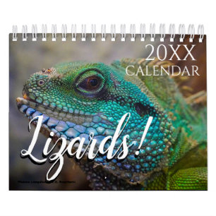 Lizard Themed 2025 Wall Calendar Gift