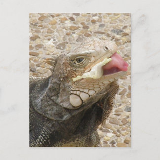 Lizard Tongue Postcard