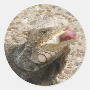 Lizard Tongue Sticker