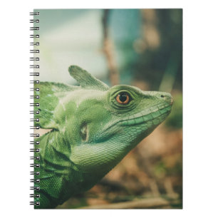 Lizard watch close up eye view notebook
