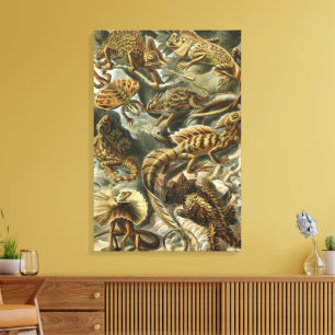 Lizards by Ernst Haeckel Vintage Lacertilia Animal Canvas Print