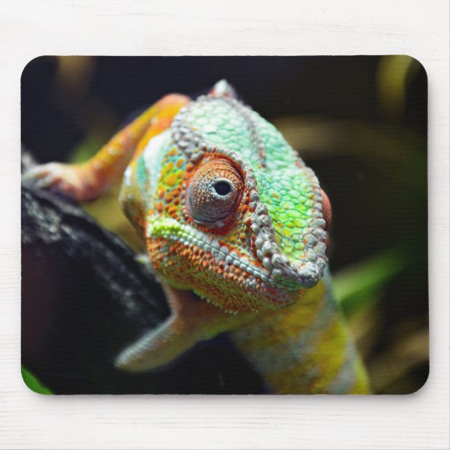 Lizards, reptiles mouse pad (Front)