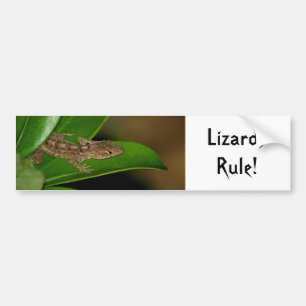 Lizards Rule Bumper Sticker
