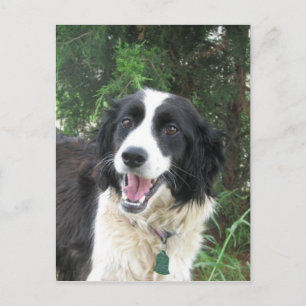 Lizzie Postcard