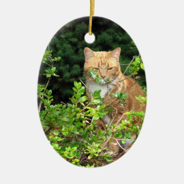 Lizzie, the cat, in the Front Yard Ceramic Tree Decoration (Front)