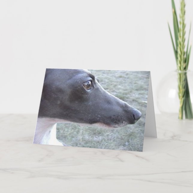 Lizzie's Close-up Card (Front)